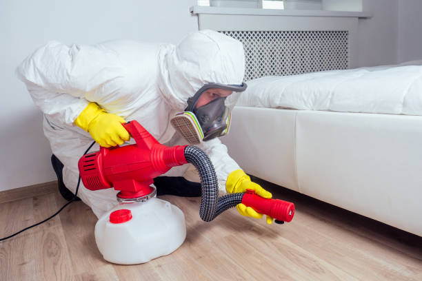 Emergency Pest Control Services in Midlothian, TX